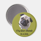 Magnet "Mops" (Vorderseite/Rückseite)