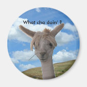 Magnet - Neugierige Alpaca (Vorne)