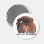 Magnet nicht verzerren (Vorderseite/Rückseite)