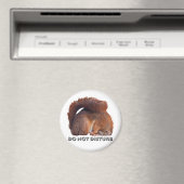 Magnet nicht verzerren (In Situ (Geschirrspüler))