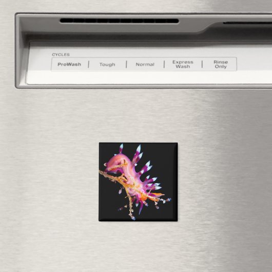 Magnet NudiBranch Square (In Situ (Geschirrspüler))