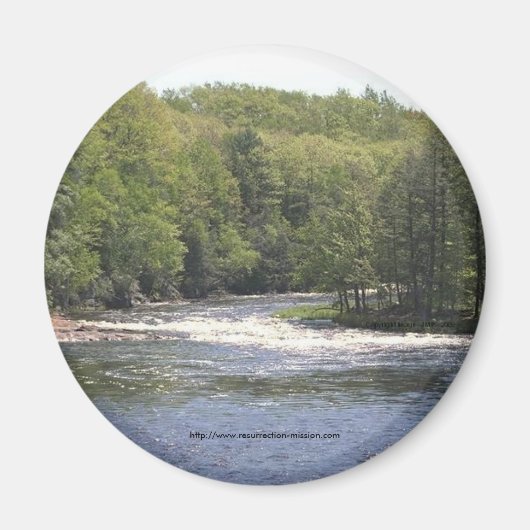 Magnet-Obere New Yorker Bäume und Fluss Magnet (Vorne)