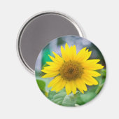 Magnet ohne Titel (Vorderseite/Rückseite)