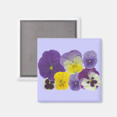 Magnet ohne Titel (Vorderseite/Rückseite)