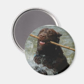 Magnet ohne Titel (Vorderseite/Rückseite)