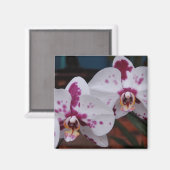 Magnet: Orchids Magnet (Vorderseite/Rückseite)