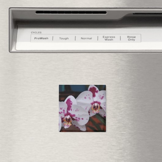 Magnet: Orchids Magnet (In Situ (Geschirrspüler))