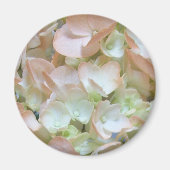 Magnet - Peach Hydrangea (Vorne)