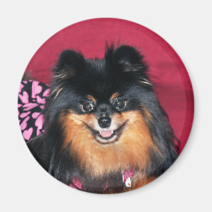Magnet peb
