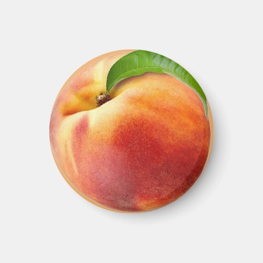 Magnet pêche (Vorne)