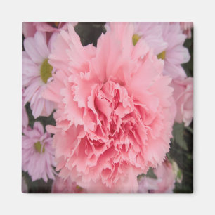 Magnet Pink Carnation Beauty