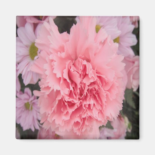 Magnet Pink Carnation Beauty (Vorne)