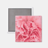 Magnet Pink Carnation Nah (Vorderseite/Rückseite)