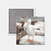 Magnet, Platz, spunky Pelican Magnet (Vorderseite/Rückseite)