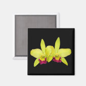 Magnet, Quadrat, 2 gelb-grüne Katzen Magnet (Vorderseite/Rückseite)