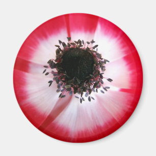Magnet Red Blume Center