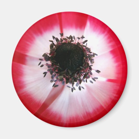 Magnet Red Blume Center (Vorne)