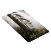 Magnet: Redwood-Bäume, Nebst und Sonnenbäume Magnet (Rechte Seite)