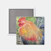 Magnet - Rooster/Hühnerart (Vorderseite/Rückseite)
