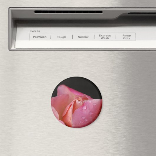 Magnet - Rosa Bud (In Situ (Geschirrspüler))