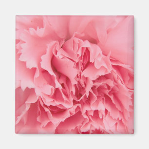 Magnet-Rosa-Carve Nah Magnet