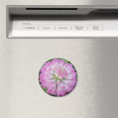 Magnet rosa Kleeblüte mit Wassertropfen (In Situ (Geschirrspüler))