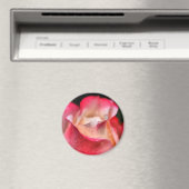Magnet - Rose Blühen mit Wassertropfen (In Situ (Geschirrspüler))