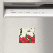 Magnet Rot und Weiß (In Situ (Geschirrspüler))