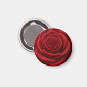 Magnet - Rote Rosenblüte (Vorderseite/Rückseite)