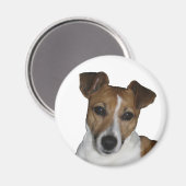 Magnet, rund, Jack Russell Terrier Magnet (Vorderseite/Rückseite)