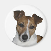 Magnet, rund, Jack Russell Terrier Magnet (Vorne)