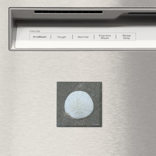 Magnet - Sand-Dollar (In Situ (Geschirrspüler))