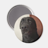 Magnet Scared Dog Meme (Vorderseite/Rückseite)