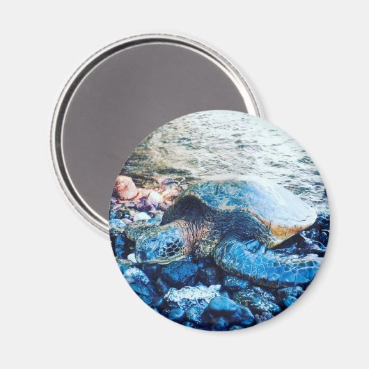 Magnet "Schlafschildkröte" (Vorderseite/Rückseite)