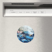 Magnet "Schlafschildkröte" (In Situ (Geschirrspüler))