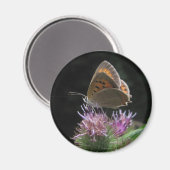 Magnet Schmetterling (Vorderseite/Rückseite)