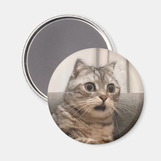 Magnet schockierte Cat Meme (Vorderseite/Rückseite)