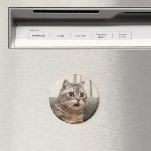 Magnet schockierte Cat Meme (In Situ (Geschirrspüler))