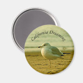 Magnet - Seagull Dreaming (Vorderseite/Rückseite)