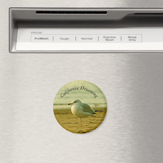 Magnet - Seagull Dreaming (In Situ (Geschirrspüler))
