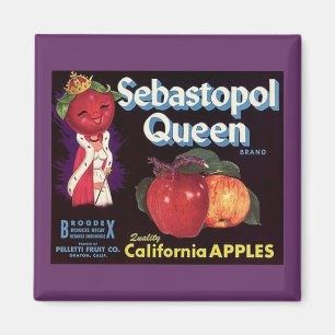 MAGNET ~ SEBASTOPOL QUEEN APPLES VINTAGES ETIKETT