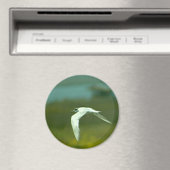 Magnet - Seeschwalbe im Flug (In Situ (Geschirrspüler))