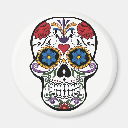 Magnet. Skelett. Magnet (Vorne)