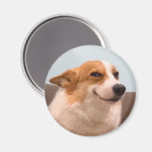 Magnet Smiling Corgi Meme (Vorderseite/Rückseite)