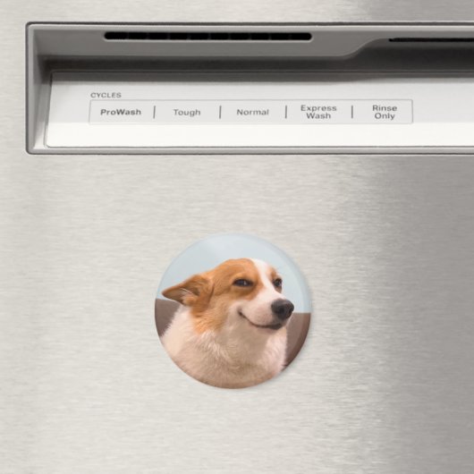 Magnet Smiling Corgi Meme (In Situ (Geschirrspüler))