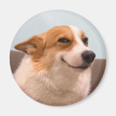 Magnet Smiling Corgi Meme (Vorne)