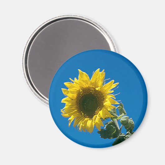 Magnet - Sonnenblume (Vorderseite/Rückseite)