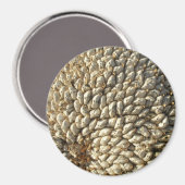 Magnet - Sonnenblumengeometrie (Vorderseite/Rückseite)