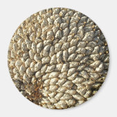 Magnet - Sonnenblumengeometrie (Vorne)