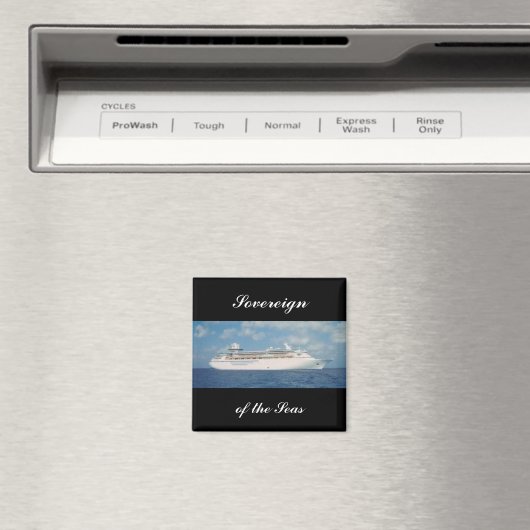 Magnet Sov2 (In Situ (Geschirrspüler))